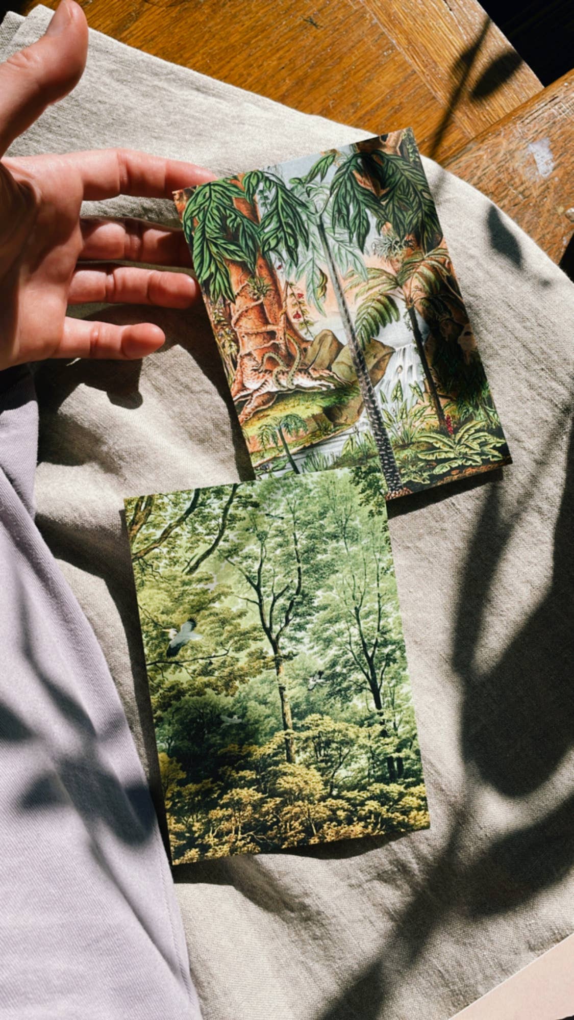Postkarte aus dem Goldenen Zeitalter