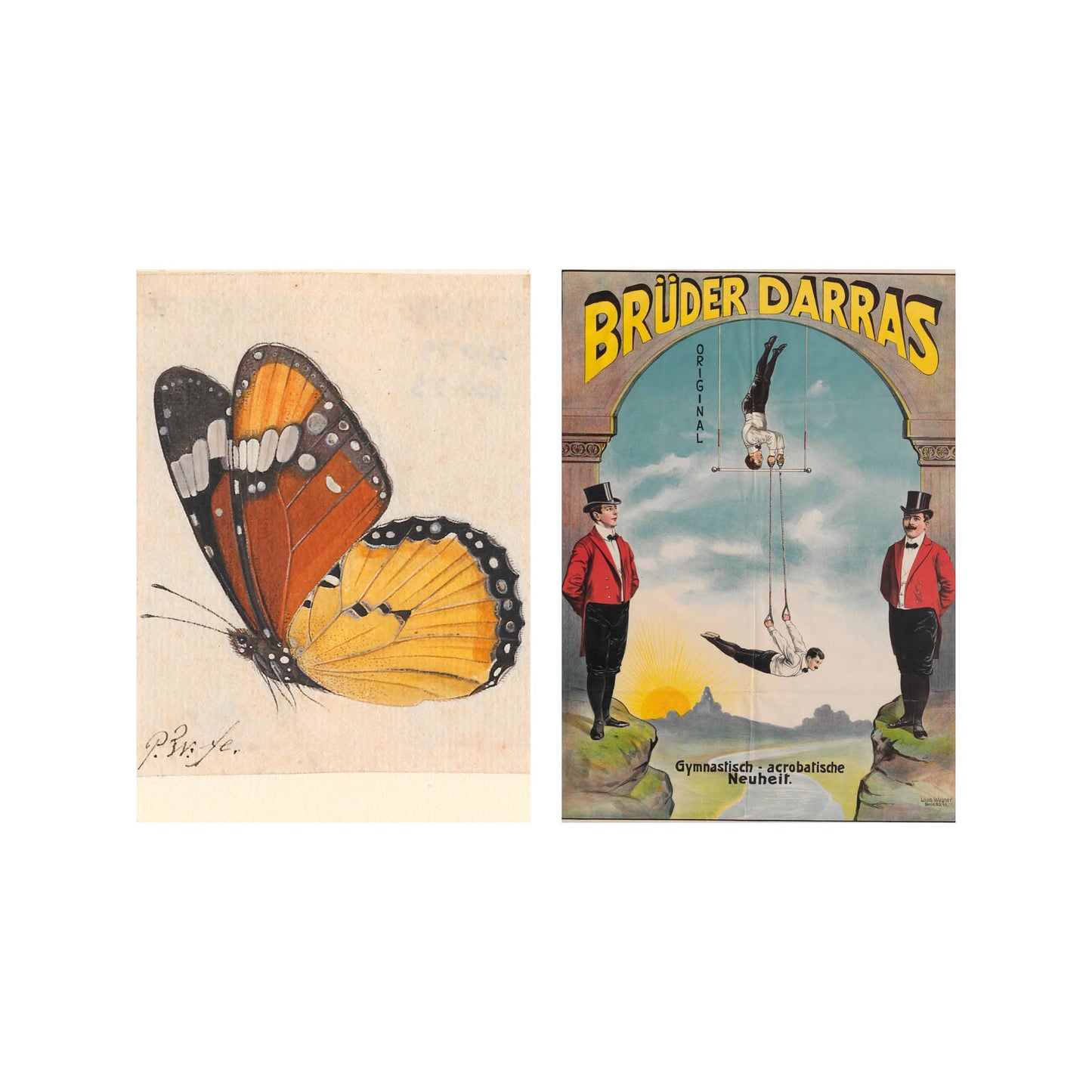 Postkarte - Butterfly Man