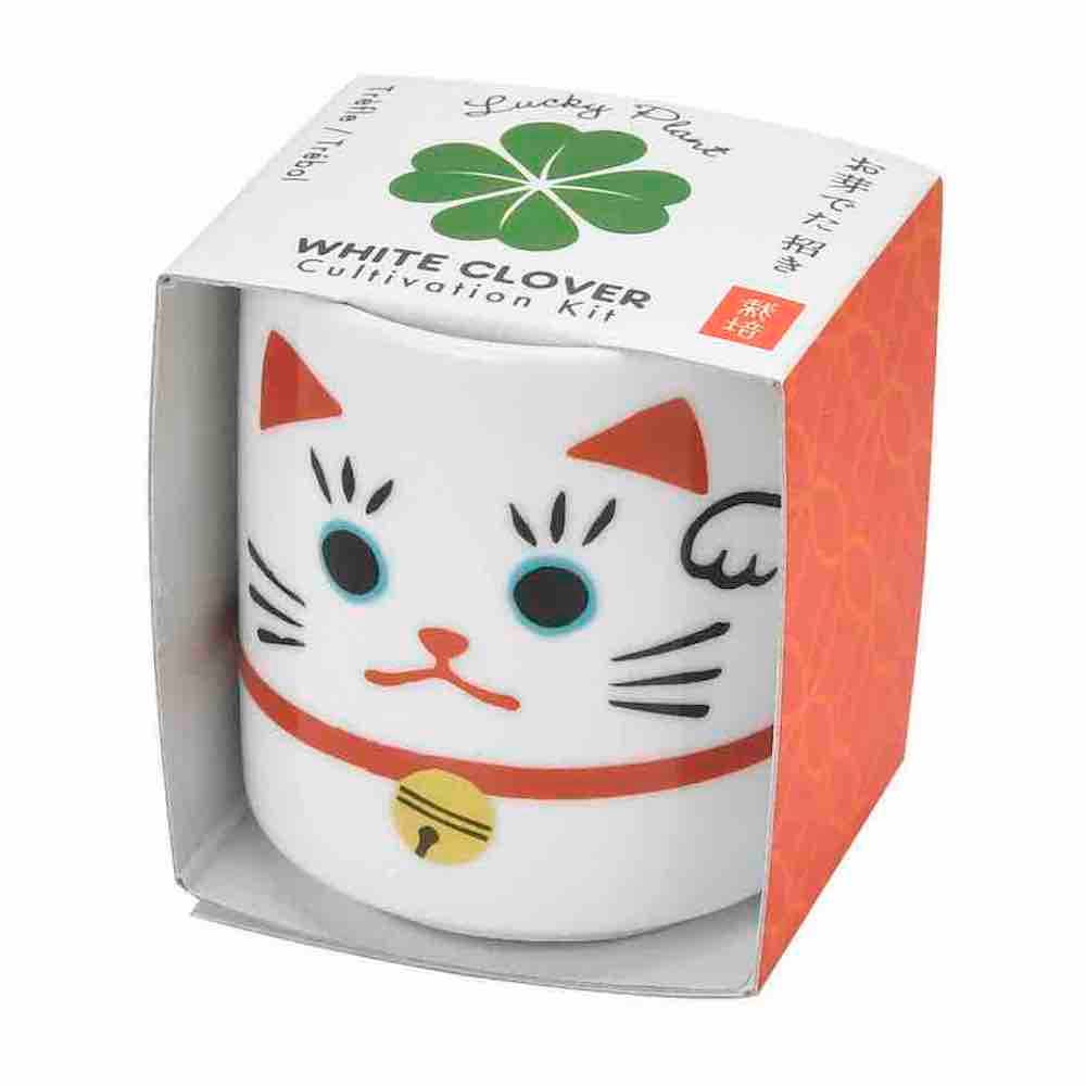 Lucky Plant - Winkekatze