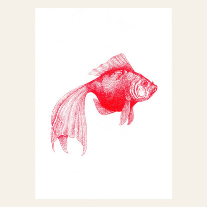 Postkarte - Veilfish