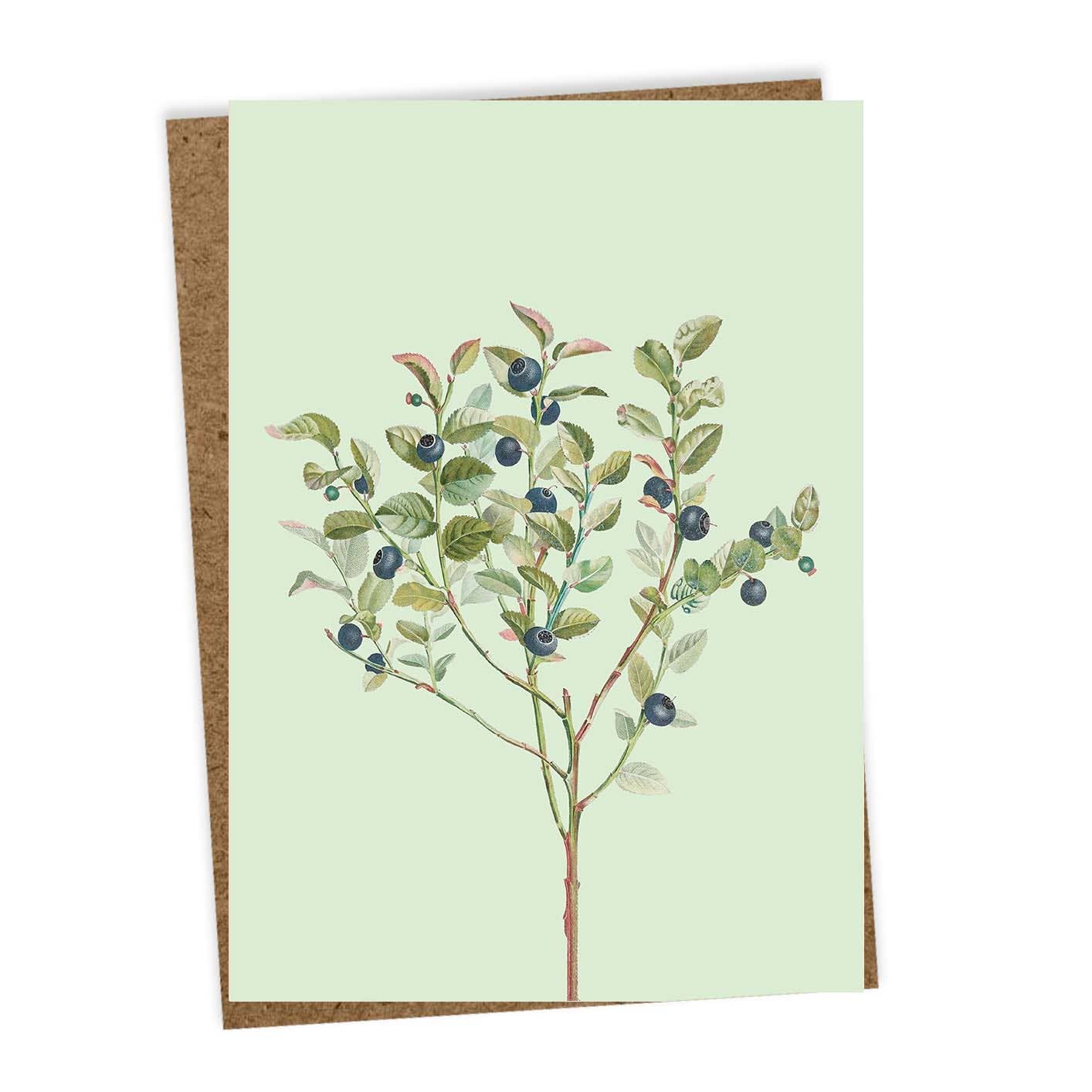 Grusskarte - Olive