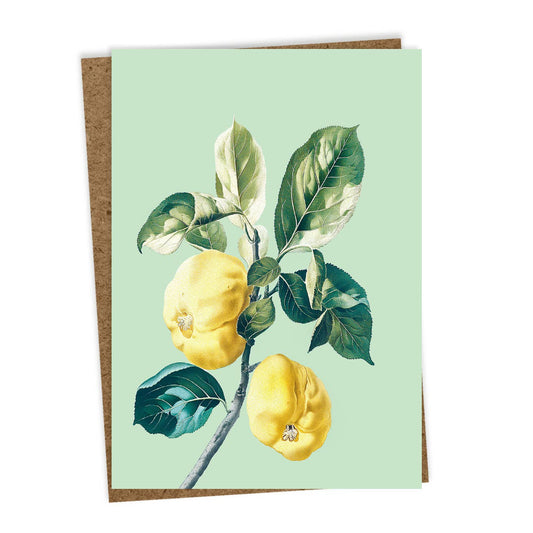 Grusskarte - Quitten