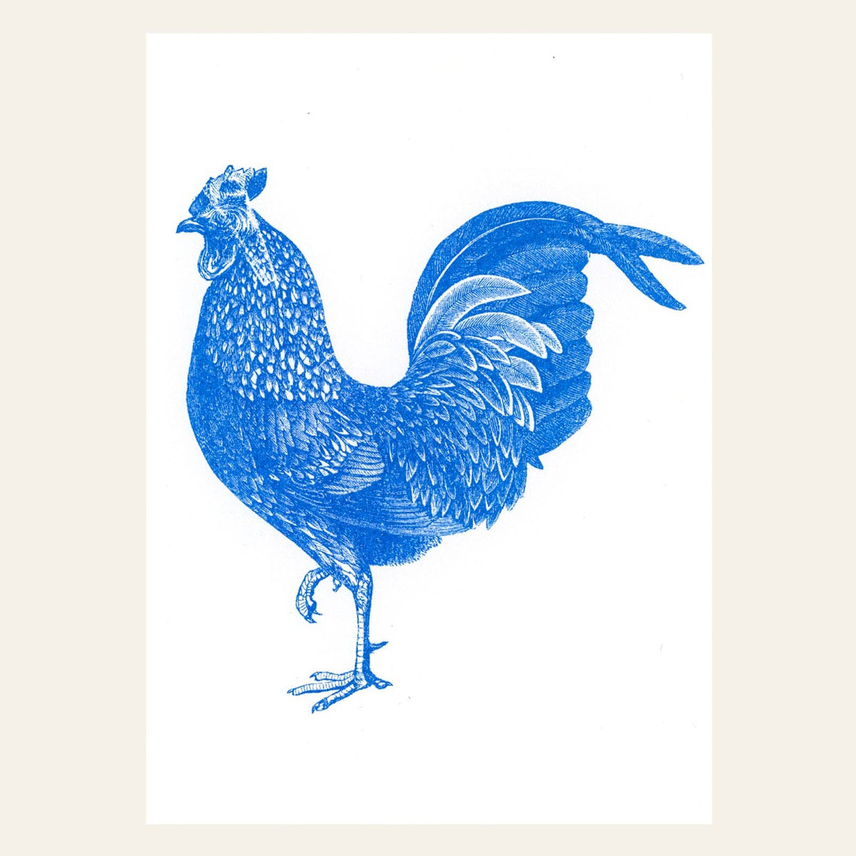 Postkarte - Rooster