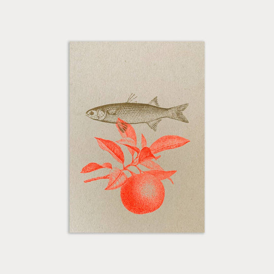 Postkarte - Fisch mit Orange