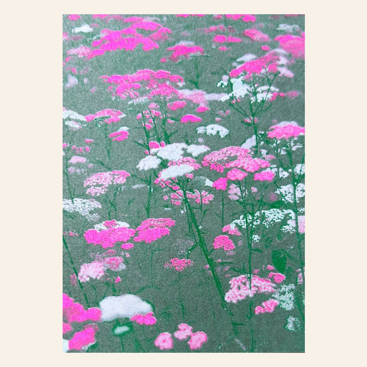 Postkarte - Flower Meadow Pink