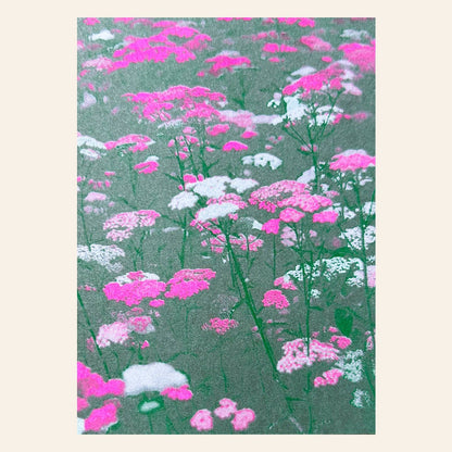 Postkarte - Flower Meadow Pink