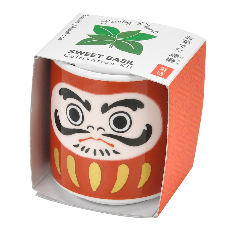 Lucky Plant - Darumapuppe