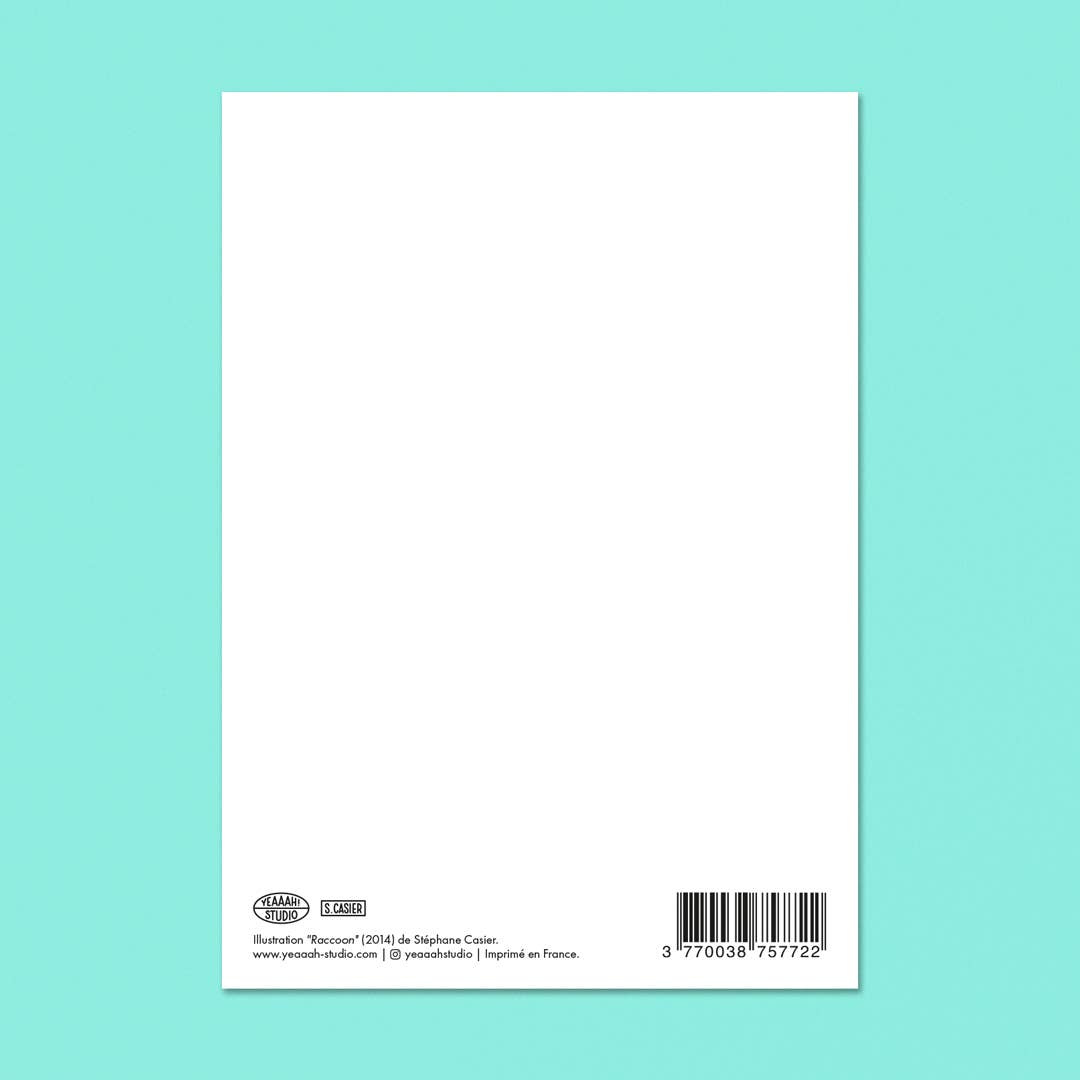Postkarte - Raccoon