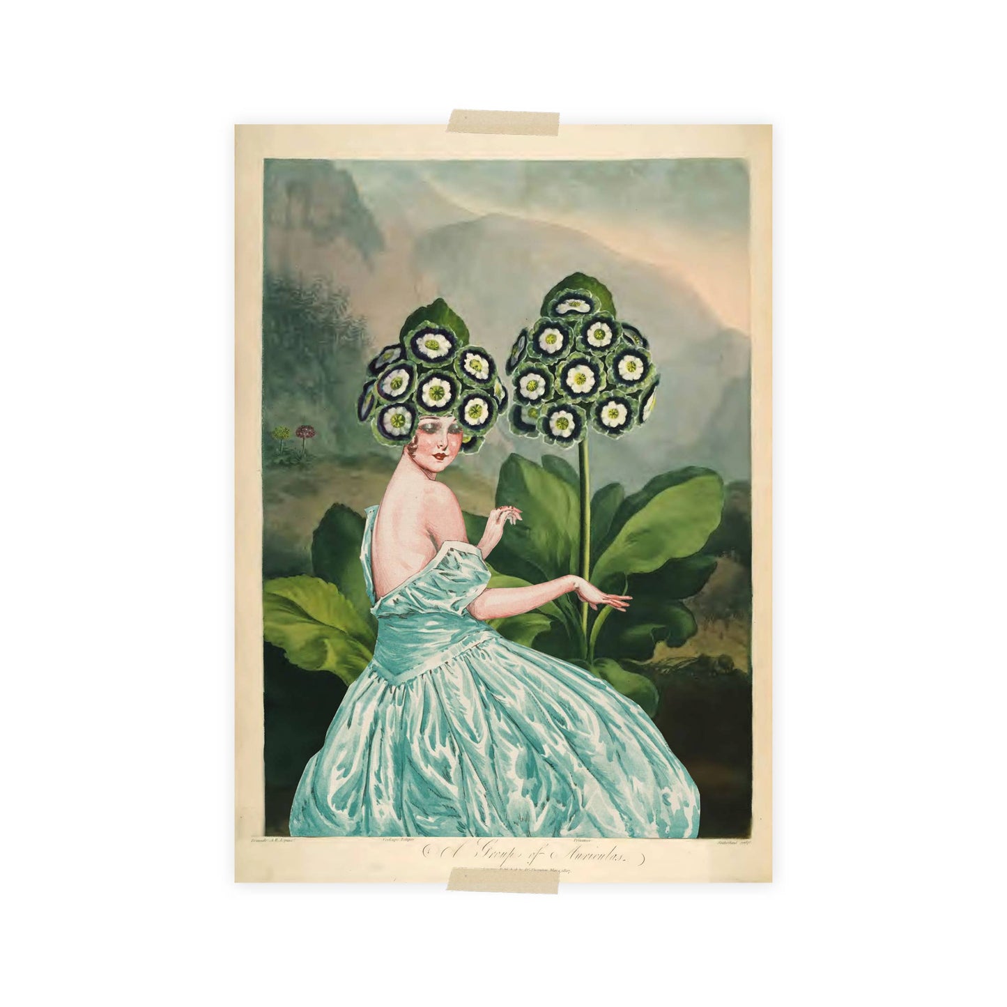 Postkarte - Tempel der Flora - Auriculas/Primrose