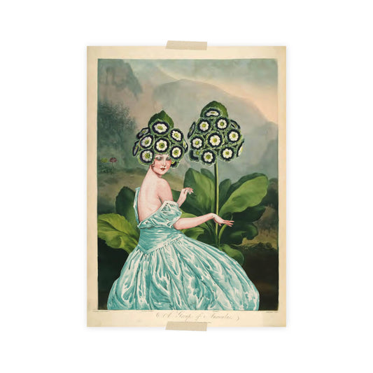 Postkarte - Tempel der Flora - Auriculas/Primrose