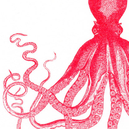 Postkarte - Octopus