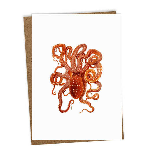 Grusskarte - Oktopus