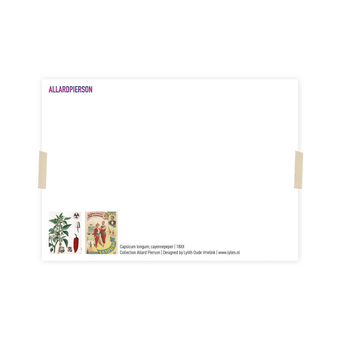 Postkarte - Pepper