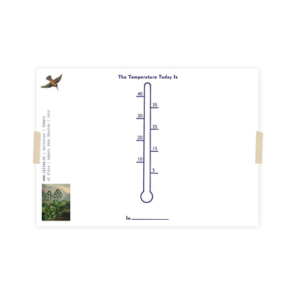 Postkarte - Tempel der Flora - Auriculas/Primrose