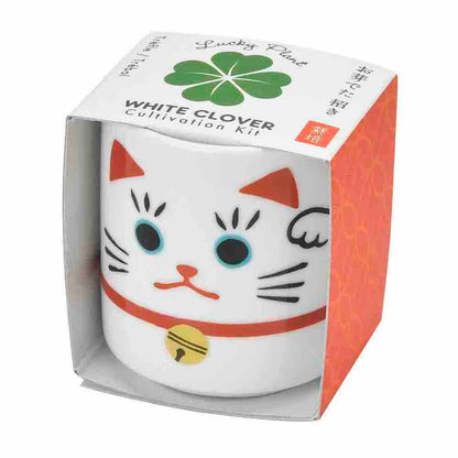 Lucky Plant - Winkekatze