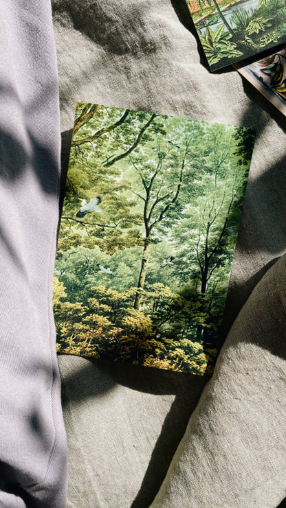 Postkarte aus dem Goldenen Zeitalter