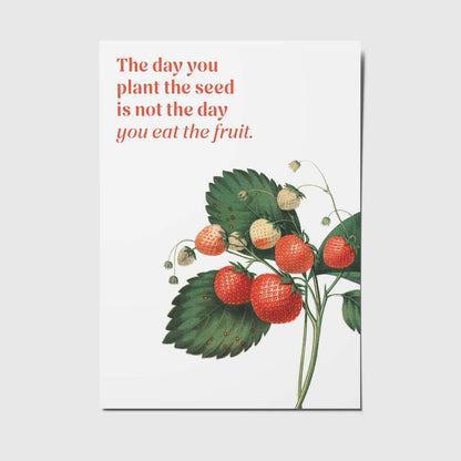 Postkarte - The day you plant the seed