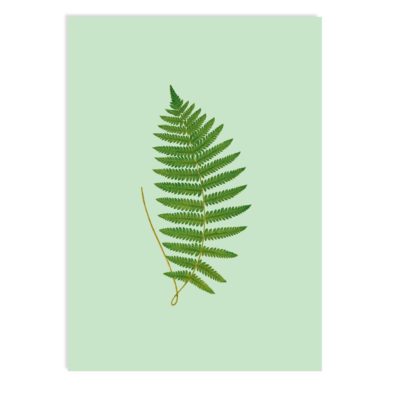 Postkarte - Fern
