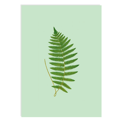 Postkarte - Fern