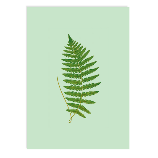 Postkarte - Fern