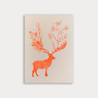 Postkarte - Hirsch