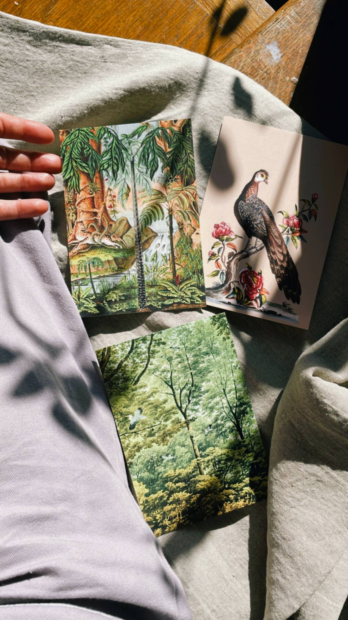 Postkarte aus dem Goldenen Zeitalter