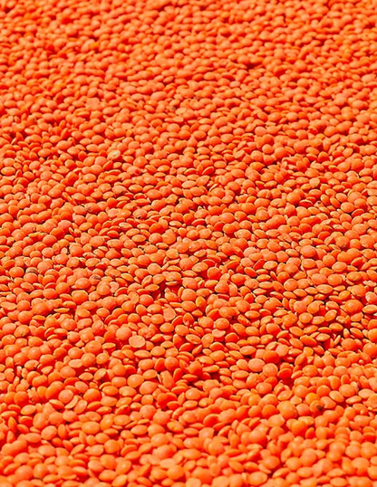 Fussili Rote Linsen - Glutenfrei / Bio