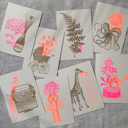 Postkarte - Hummer mit Blume