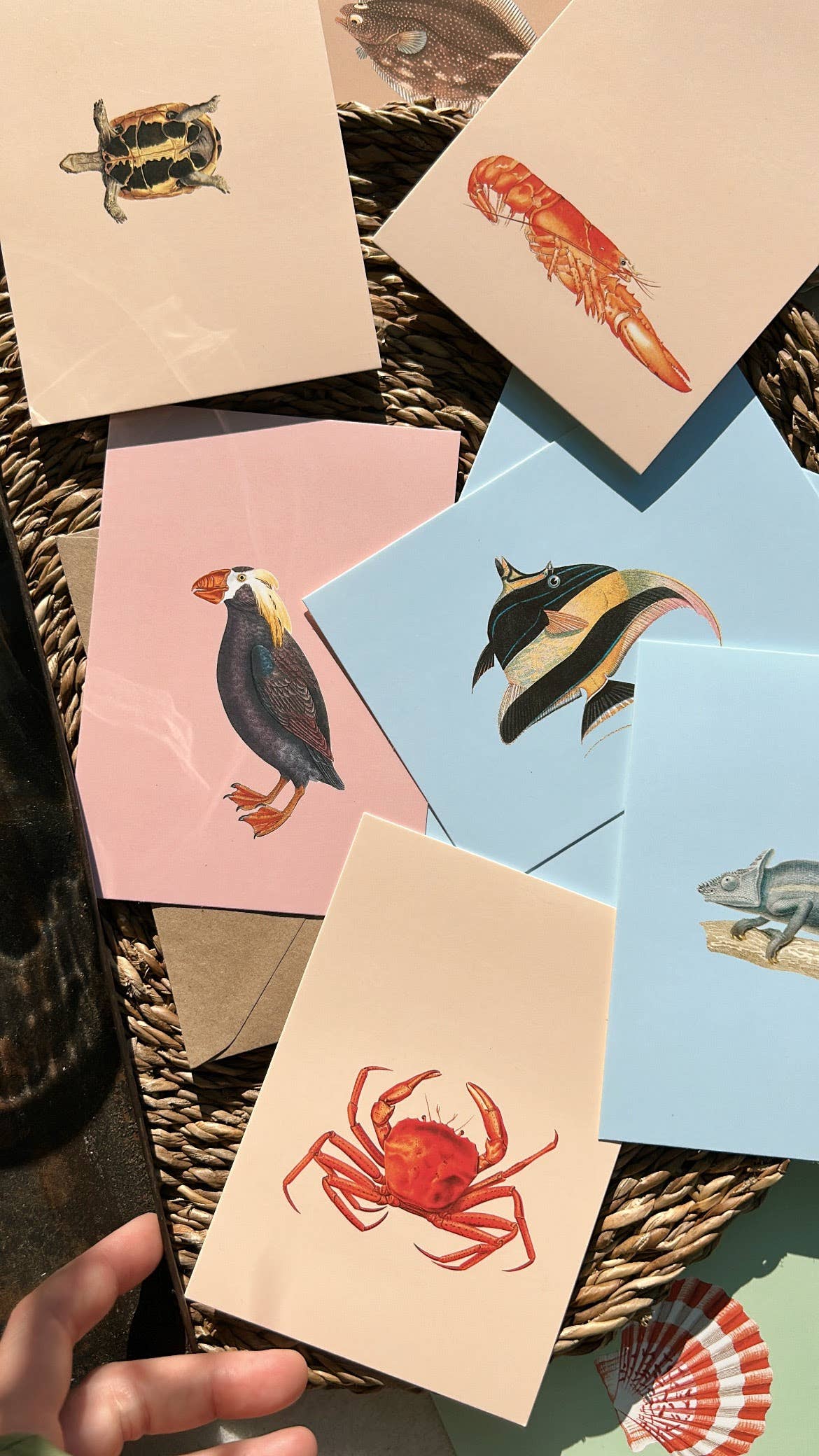 Postkarte - Krabbe