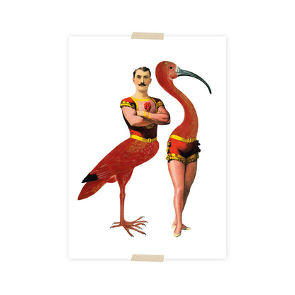 Postkarte - Akrobat und Ibis