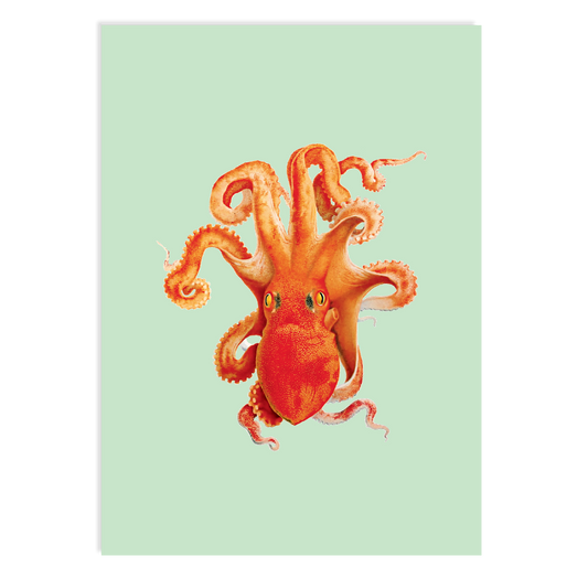 Postkarte - Octopus