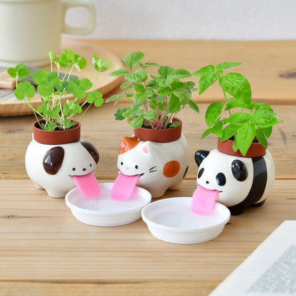 Peropon Panda