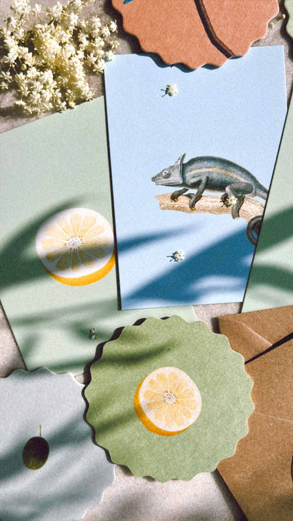Postkarte - Zitronen