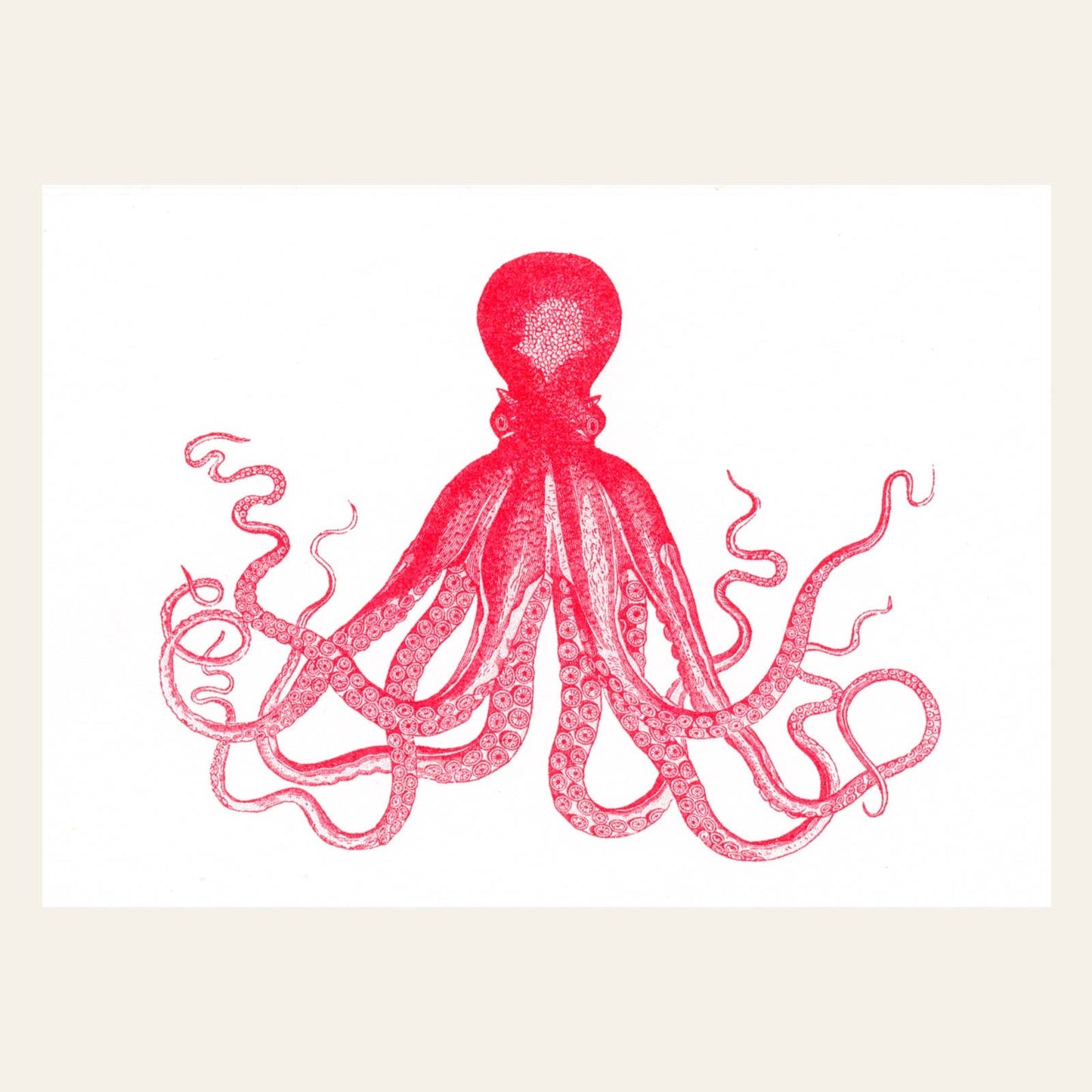 Postkarte - Octopus