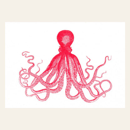 Postkarte - Octopus