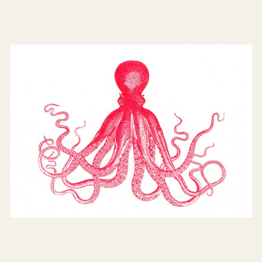 Postkarte - Octopus