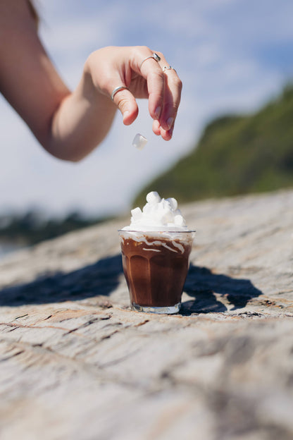 Schoko-Milchshake
