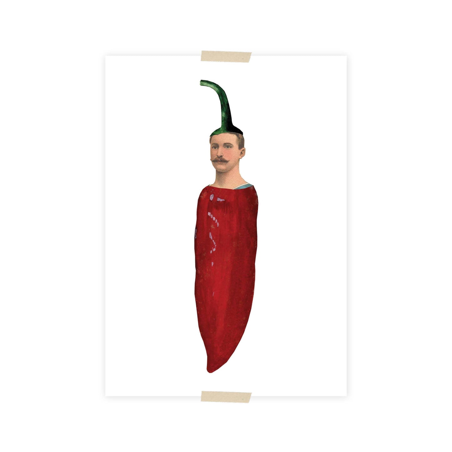 Postkarte - Pepper