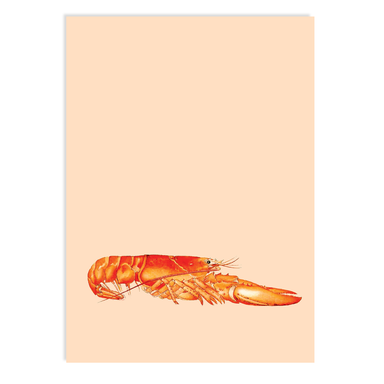 Postkarte - Hummer