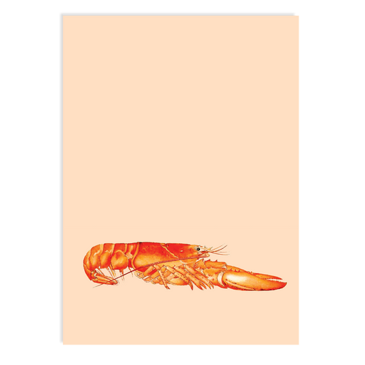 Postkarte - Hummer